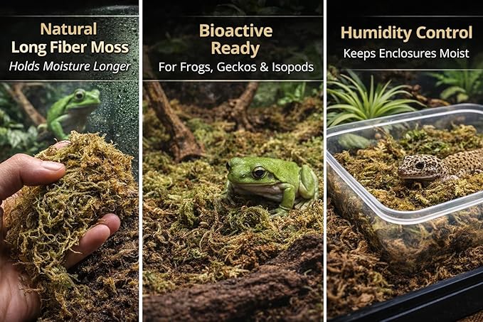 Sphagnum Moss Substrate for Reptiles & Terrariums (2)