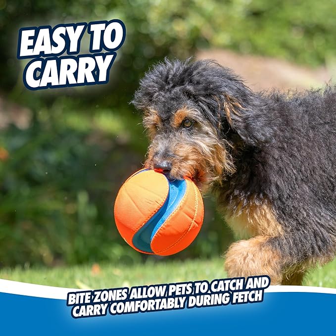 Chuckit! Kick Fetch Ball Dog Toy - Floats in Water - Perfect for Interactive Play - Made with Durable Rubber and Foam - For Large Dogs - Size Large - 8-inch Diameter - Pack of 1