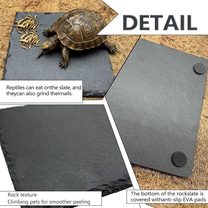 Reptile Basking Platform 6.0''x6.0'' Turtle Rock Plate Slate Food Feeding Dish Bowl Bathing Resting Terrace for Chameleon Lizard Bearded Dragon Gecko Snake Frog Newt (6.0''/15CM)