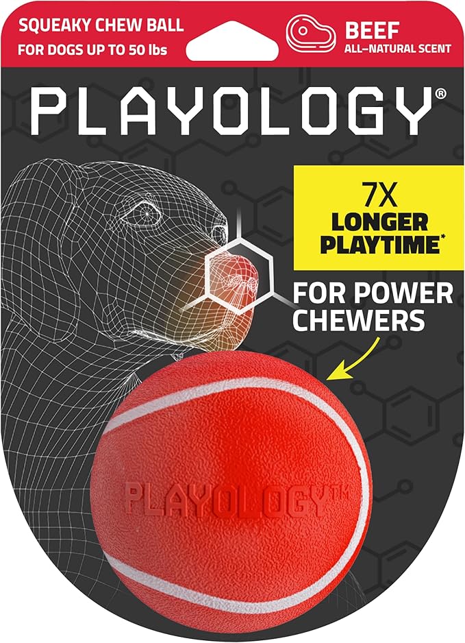 Playology Dog Toys | Squeaky Chew Ball for Dogs | Beef Scented Medium Dog Ball | Bouncy Floating Chew Toys for Fetch