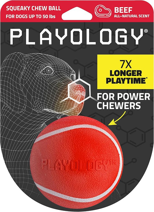 Playology Dog Toys | Squeaky Chew Ball for Dogs | Beef Scented Medium Dog Ball | Bouncy Floating Chew Toys for Fetch