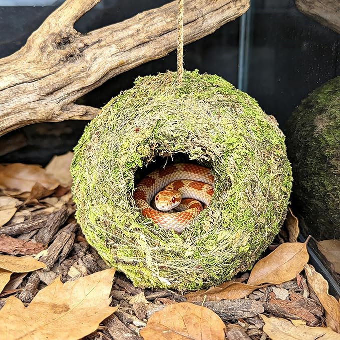 Reptile Hide Bearded Dragon Tank Accessories Natural Moss Leopard Crested Gecko Tank Accessories Handmade Humid Reptile Snake Hide for Ball Python Tortoise Frog