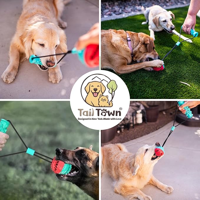 Tail Town Dog Toy Ball with Handle, TPR Rubber Treat Dispensing Ball for Dogs, Tug of War & Fetch Toy, Textured Chew Ball for Small Medium Large Dogs
