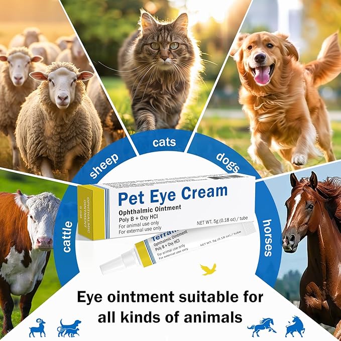 Pet Eye Health Cream for Cats, Dogs, Cattle, Sheep, Horses, Birds, and Puppies, Kitten - 1 Tube 5g