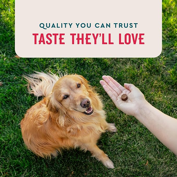 VetIQ 8-in-One Multifunctional Supplement for Dogs, Supports Hip & Joint, Urinary Tract, Immune System, Skin Health and Heart Health, Soft Chews, Made in the USA, 90 Count