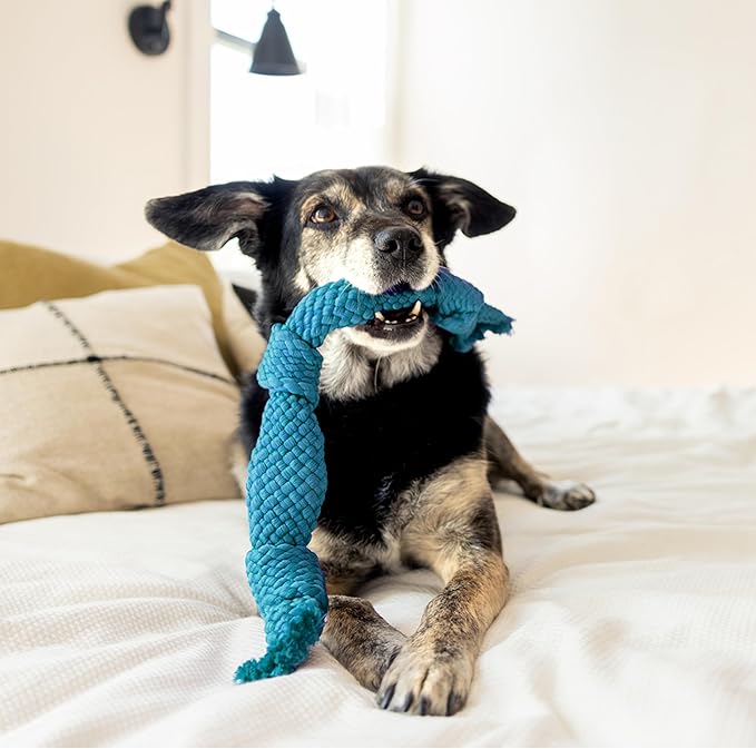 Playology Dog Toys | Dri-Tech Dental Rope Toy for Large Senior Dogs, Gentle on Teeth | Peanut Butter Scented Jumbo Toy | Dog Rope for Tug of War