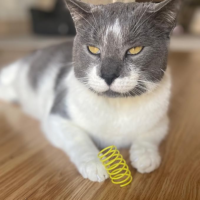 SPOT Colorful Cat Spring Toys – 2" Bouncy Coils for Indoor Cats & Kittens to Swat, Chase, Bite – Interactive Enrichment Toys, Safe Plastic, 10-Pack, Multi-Color