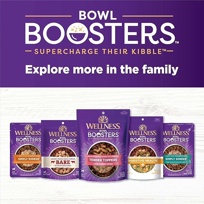 Wellness Bowl Boosters, Dog Food Topper for Small, Medium, & Large Breeds, Grain Free, Natural, Freeze Dried, Skin & Coat Health Chicken, 4 Ounce Bag (Pack of 2)