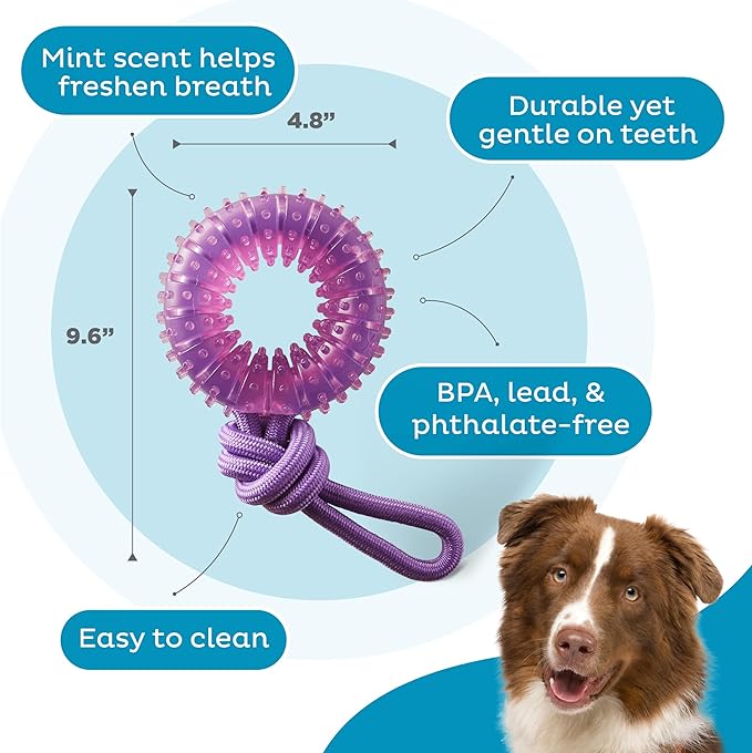Dental Chew Wheel Dog Toy, Ring & Rope Tug, Multi-Textured, Soft on Teeth, Moderate Chewers, Mint Scented, 9"
