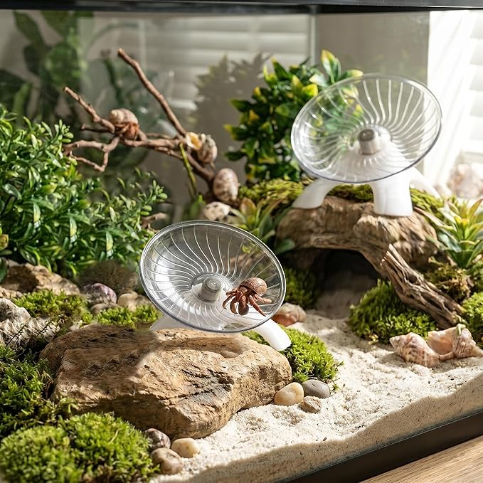 2Pcs Silent Hermit Crab Running Wheel Toy, Hamster Exercise Wheel, Small Animal Climbing Toy for Gecko, Jumping Spider, Rats and Hermit Crabs Cage & Tank Accessory (Diameter 5.2")