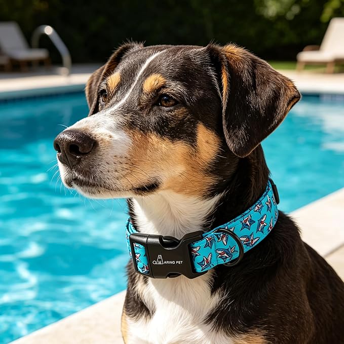ARING PET Summer Dog Collar, Cute Blue Shark Pet Collars with Quick Release Buckle for Puppy Small Medium Large Boy Girl Dogs-S