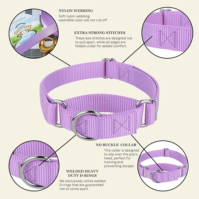 Country Brook Petz - Martingale Dog Collar - Heavy-Duty Training Collar with No Buckle - Service Dog Collar for All Pups - 20 Vibrant Colors (Lavender, 5/8 Inch, Extra Small)