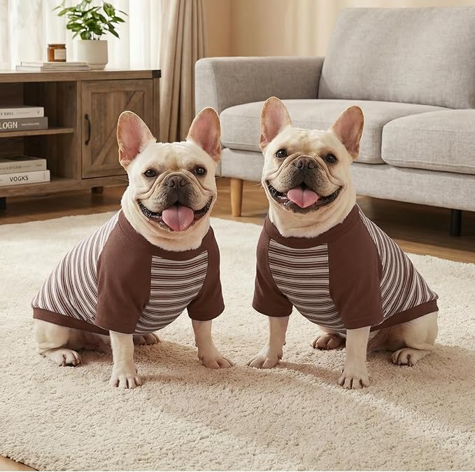 Pistha Dog Tshirt Striped Shirts for Dogs Clothes Stretchy Puppy T-Shirts with Metal Buckle for Small Medium Dog Boys Girls (Brown, Large)