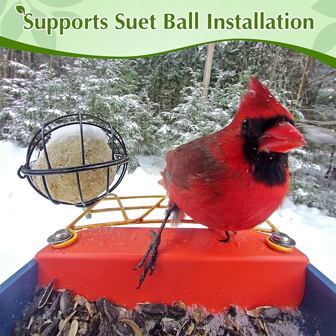Metal Perch Extender & Suet Ball Holder Compatible with Bird Buddy PRO Solar Bird Feeder, Rust-Resistant Outdoor Birds Feeder Accessory, Wider Landing Space, Add On with Screws Included