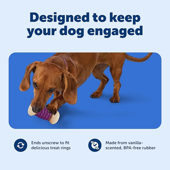 PetSafe Busy Buddy Nobbly Nubbly Treat Holding Dog Toy Strong Chewers Small
