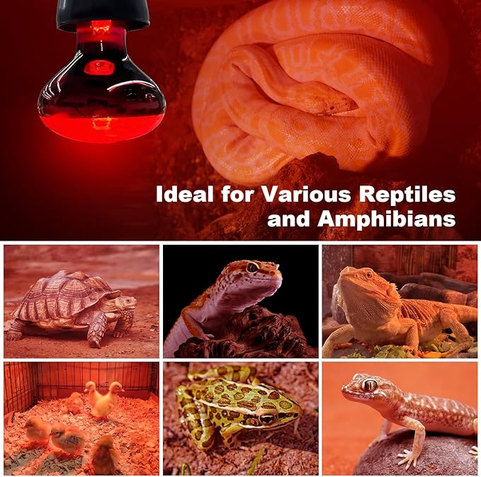 2 Pack Infrared Heat Lamp Bulbs, 100W Reptile Heat Emitter Infrared Basking Spot Light, Red Heat Lamp for Chickens Coop Reptile Pets Brooder Use