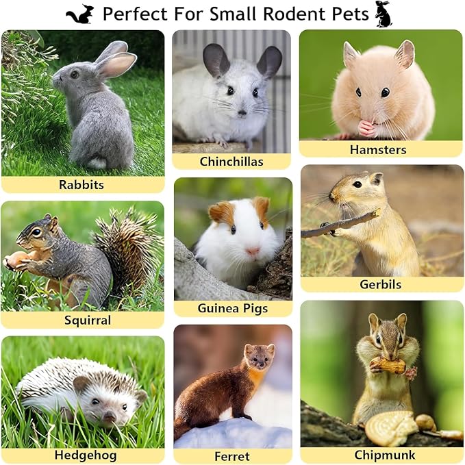 2000g Organic Apple Sticks Small Animals Molar Wood Treats Toys for Chinchillas Guinea Pig Rabbits Hamster Gerbil Parrot Bunny Chew Stick Toys, 70.6 OZ