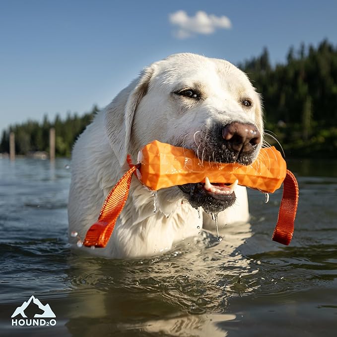 Playology HOUND2O Dog Toys | Tug Stick Floating Outdoor Toy for Dogs | Bright Orange Fetch Toy for Tug of War