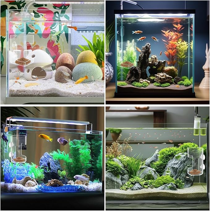 No Mess Aquarium Feeder Fish Tank Dish Tray Acrylic Clear Fishs Tank Feeder with Suction Cup, Round and Square Fishs Food Container Holder Dispenser 2.36x3.93 in for Turtle Shrimp Betta Feeding