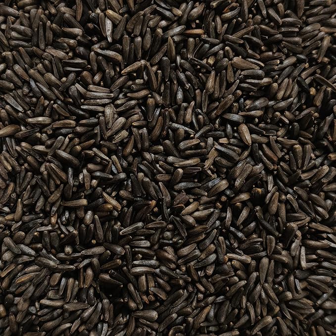 Happy Wings Nyjer Seed & Sunflower Seeds Wild Bird Food Combo - 5 Pound Pack I No Grow Seed I Bird Food for Wild Birds