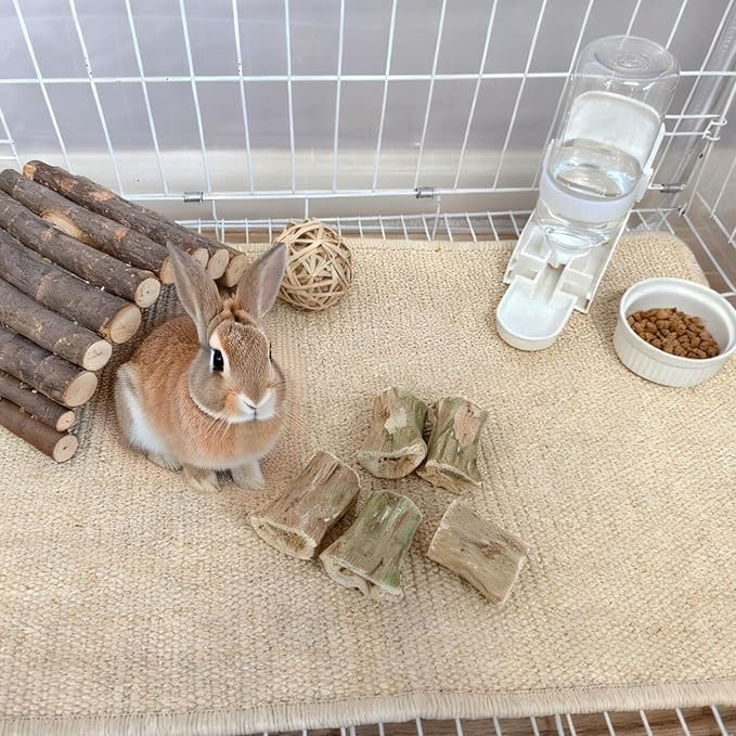 100G Rabbit Chew Toys Guinea Pig Treats Natural Papaya Wood Chew Sticks for Teeth Bunny Guinea Pig Hamster Chinchilla