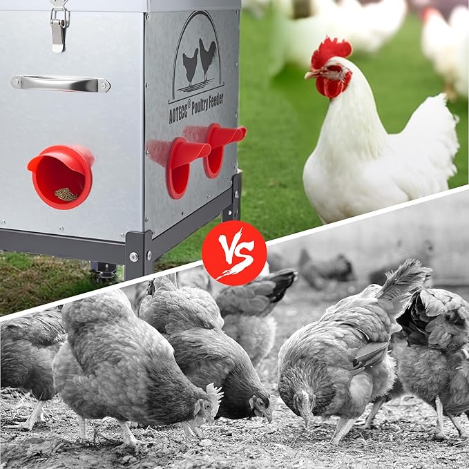 Metal Chicken Feeder, 40lb Automatic Chicken Feeder - 6 Feeding Ports, No Waste Poultry Feeder with Lid & Adjustable Legs for Chicken Coops, Weatherproof