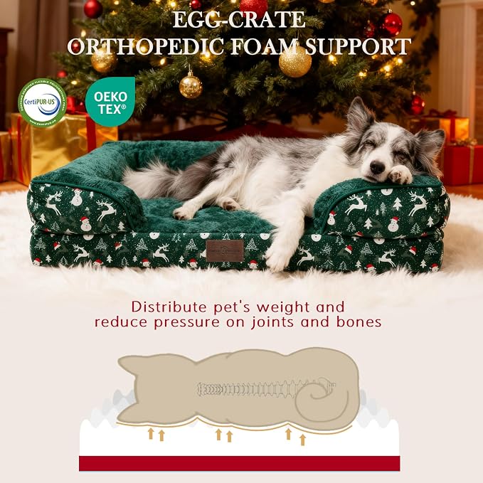 Comfort Expression Orthopedic Dog Bed for Extra Large Dogs with Bolster | Waterproof Dog Couch Bed with Washable Cover & Non-Slip Bottom, Supportive Egg Crate Foam XL Pet Bed, 42x30 Inch