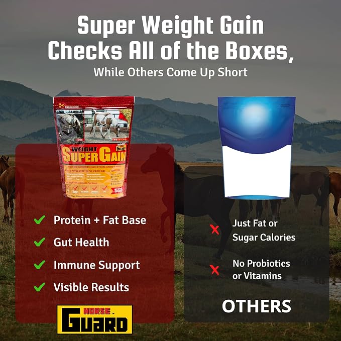 Horse Guard Super Weight Gain 10 lb – 3-in-1 Horse Weight Gain Supplement with Full-Fat Soy, Probiotics & Vitamins – Supports Digestion, Coat & Muscle Health – 20 Servings