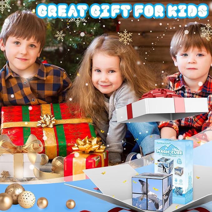 Euclidean Cube 2 in 1 Magic Cube Set, Fidget Toy for Kids Adults, Yoshimoto Cube for Ages 8-12, Arctic/Antarctic Animals Puzzle Cube Fun Toy for Boys Girls (Polar Series)