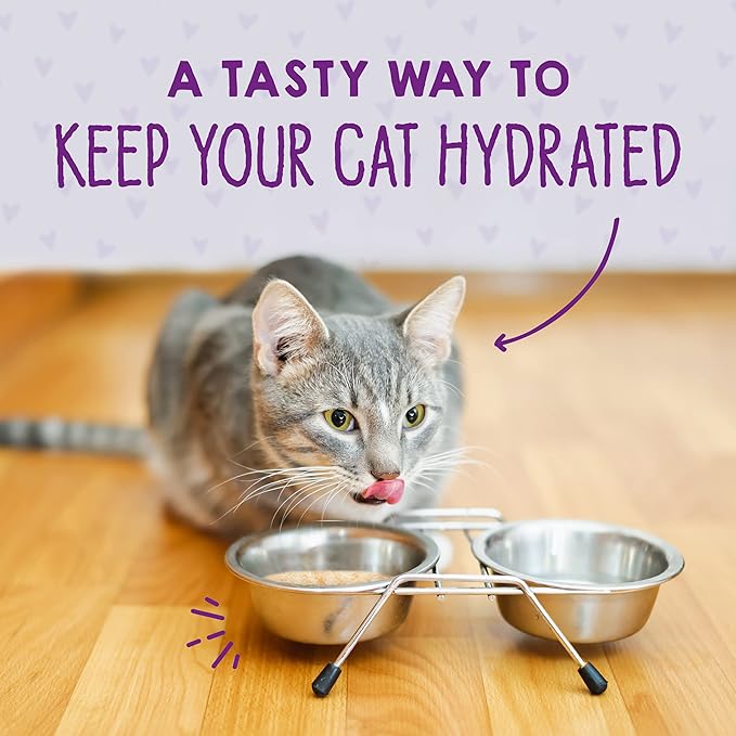 Stella & Chewy's Carnivore Cravings Purrfect Paté - Premium Grain-Free Wet Cat Food - Salmon, Tuna & Mackerel Recipe - High Protein with Bone Broth - Perfect for Picky Eaters - 2.8oz Cans (24 Pack)