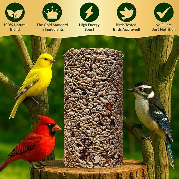 Bugs, Nuts & Berries Bird Seed Cylinders with Hole – Wild Bird Food for Blue Bird, Woodpeckers, Cardinals & More – Premium Protein-Rich All Natural Blend, No Fillers – USA Made (3.75 lbs, 6" x 7.75")