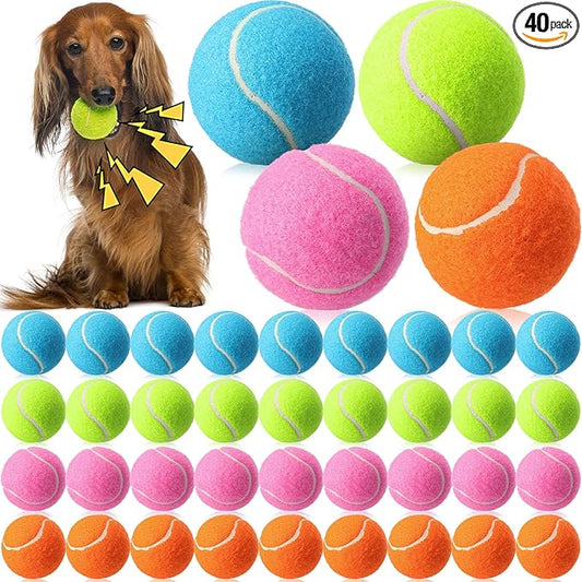 Skylety 40 Pcs 2.5 Inch Squeaky Tennis Balls Bulk for Dogs Bouncy Floatable Tennis Balls Dog Playing Supplies Training Interactive Fetch Toys Indoor and Outdoor for Small Medium Puppy (Multicolor)