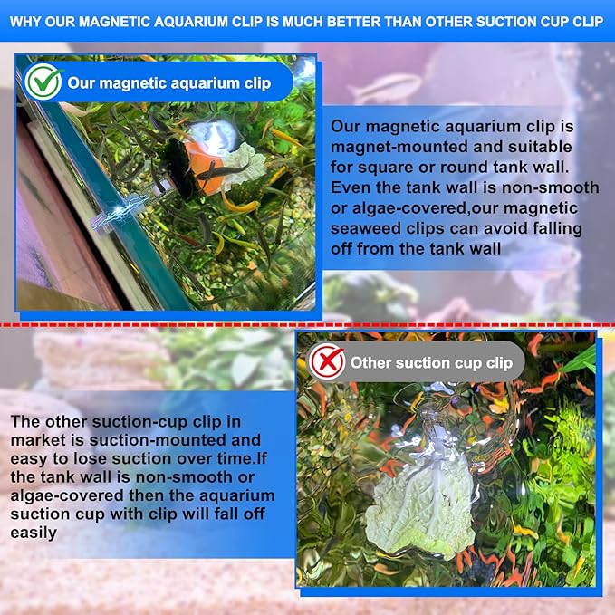 Magnetic Seaweed Fish Feeding Clip Saltwater Aquariums Magnet Veggie Feeder clamp Fish Accessories —Patented Product(4pcs Magnetic Veggie Clip)