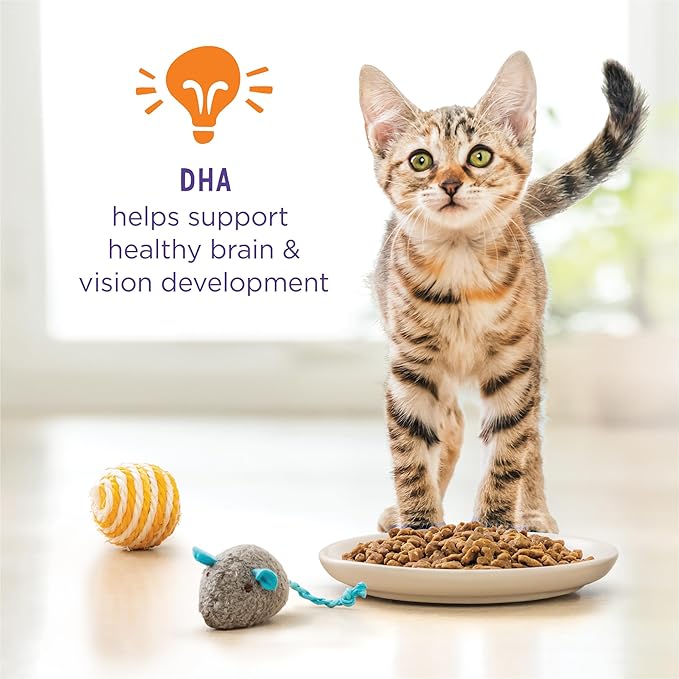 Purina Kitten Chow Kitten Food Healthy Development with Real Chicken Dry Kitten Food - (Pack of 4) 3.15 lb. Bag