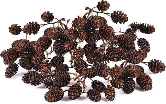 JOR Alder Cone Water Conditioner for Betta Fish, Creates Native Habitat, Relieves Stress, Serves As A Nursery and Food Source, Lowers Water pH, Can Be Used in Filter Or Freely in Aquarium, 60 pcs