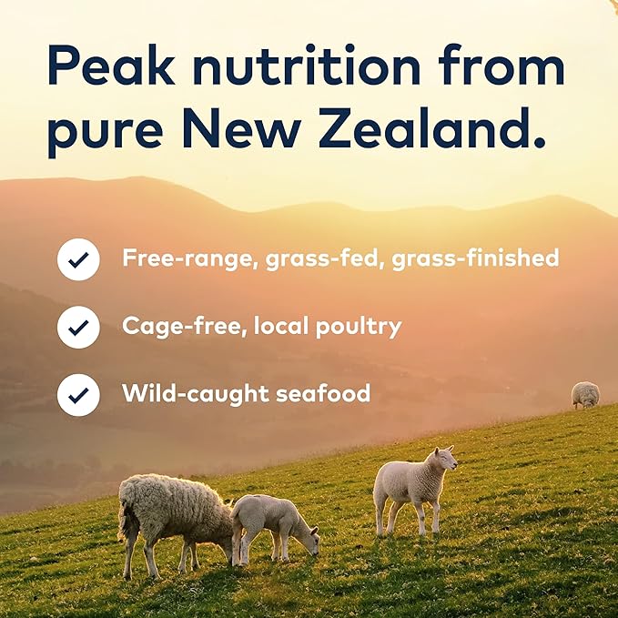 ZIWI Peak Wet Cat Food – All Natural, High Protein, Mackerel & Lamb, Grain Free, Limited Ingredient, with Superfoods (3oz Cans - Pack of 24)