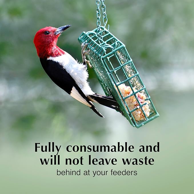 C&S Woodpecker Delight No Melt Suet Dough, Suet Cakes for Wild Birds Including Woodpeckers, Flickers and More, 11.75 Ounces, Pack of 8