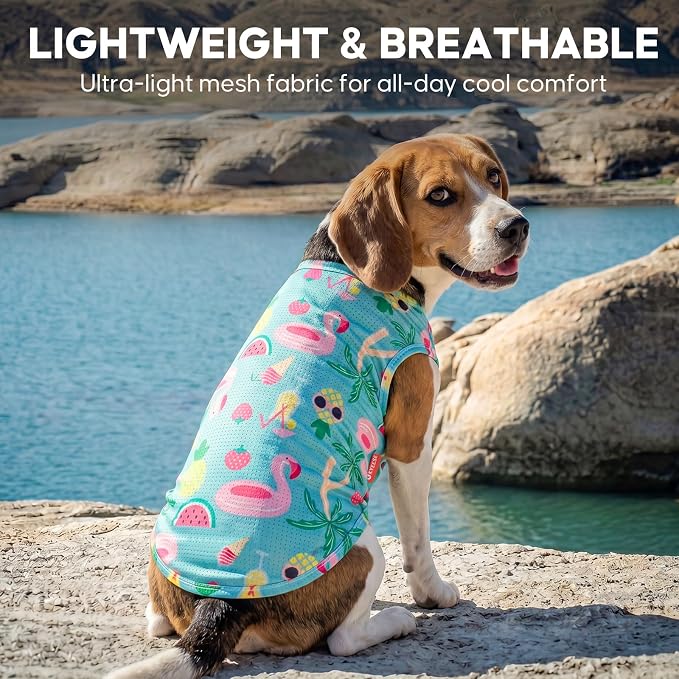 KYEESE 2Pack Dog Shirt, Lightweight Sun Protection Dog T Shirts for Small Medium Dogs Boy Girl, Breathable Mesh Tank Top Sleeveless Pet Reflective Vest, Soft Summer Dogs Clothes, Flamingo+Blue, XL