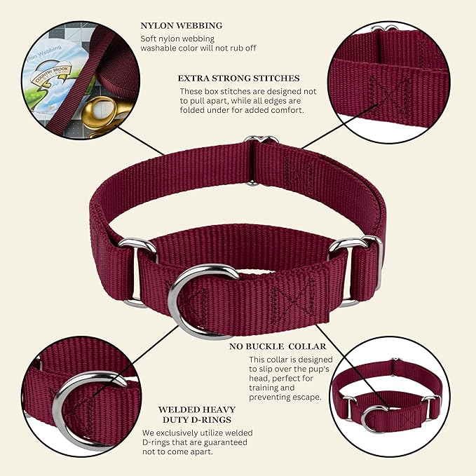 Country Brook Petz - Martingale Dog Collar - Heavy-Duty Training Collar with No Buckle - Service Dog Collar for All Pups - 20 Vibrant Colors (Burgundy, 3/8 Inch, 3XS)
