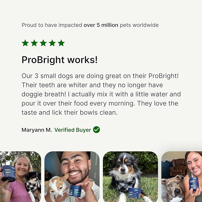 PetLab Co. ProBright Dental Powder - Dog Breath Freshener - Teeth Cleaning Made Easy – Targets Tartar & Bad Breath - Formulated for Medium Size Dogs - Pack of 2
