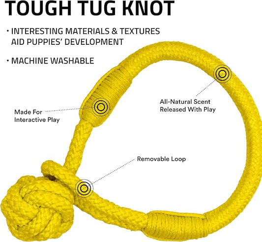 Playology Dog Toys | Tough Tug Knot for Puppies and Young Dogs | Chicken Scented Medium Chew Toy Tug Rope | Tug of War Puppy Essentials