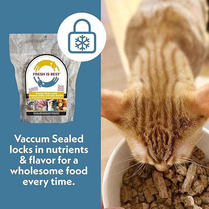 Fresh Is Best Chicken Freeze Dried Cat Food – Raw Cat Food for Kittens & Adult Felines – High-Protein Freeze Dried Raw Chicken in Resealable Zipper Bag – Made in the USA – 8 oz