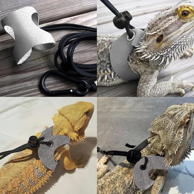 Bearded Dragon Travel Backpack Carrier with Reptile Thermometer and Humidity Gauge Lizard Travel Cage Space Capsule Clear Bubble Window Astronaut Reptile Bag for Ball Python (Green, Backpack+PG LSH)