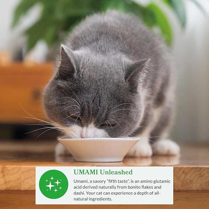 INABA Dashi Delights for Cats, Shredded Chicken Side Dish with Bonito Flake Broth, Cat Food Complement with Taurine & Green Tea Extract, 2.5 Ounce Cup, 6 Cups Total, Chicken with Tuna & Scallop Recipe