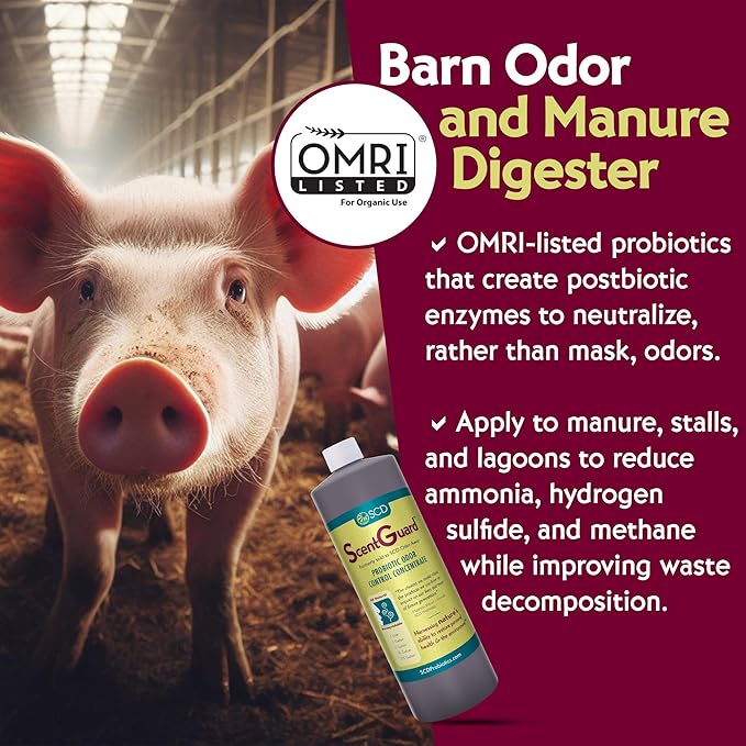 SCD ScentGuard Probiotic Odor Eliminator & All-Natural Cleaner Concentrate – Bio-Enzymatic Deodorizer for Drains, Grease, Pets, Compost, Livestock, Waste & Home Use – Non-Toxic, OMRI Listed (1 Liter)
