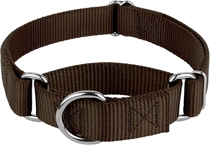 Country Brook Petz - Martingale Dog Collar - Heavy-Duty Training Collar with No Buckle - Service Dog Collar for All Pups - 20 Vibrant Colors (Brown, 3/4 Inch, Small)