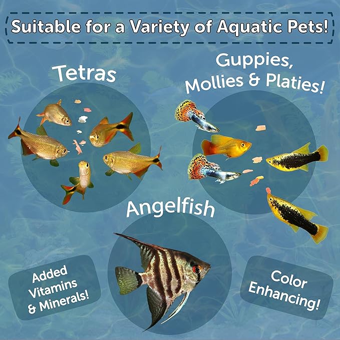 Premium Tropical Fish Flakes, for Angel Fish, Guppies, Live Bearers, Loaches, Gouramis, Cichlids, All Tropical Fish. 12-Type pellets and 4-Type Wafers Included 2.65oz Canister