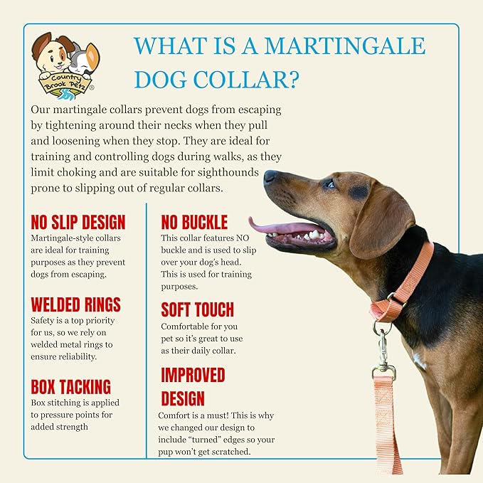 Country Brook Petz - Martingale Dog Collar - Heavy-Duty Training Collar with No Buckle - Service Dog Collar for All Pups - 20 Vibrant Colors (Mango, 5/8 Inch, Extra Small)
