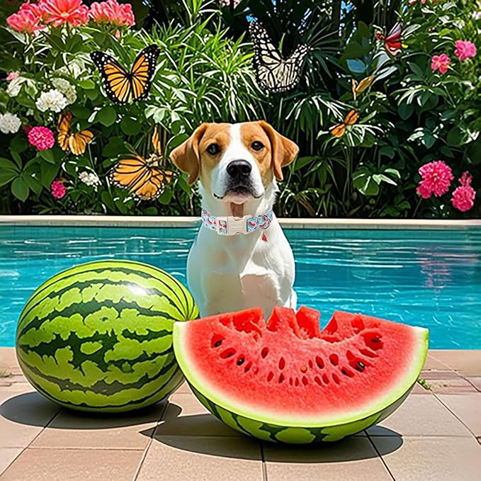 Lionet Paws Summer Dog Collar- Cute Watermelon Light Blue Dog Collars with Plastic Buckle and Watermelon Pendant, Light Adjustable Dog Collars for Small Medium Dogs