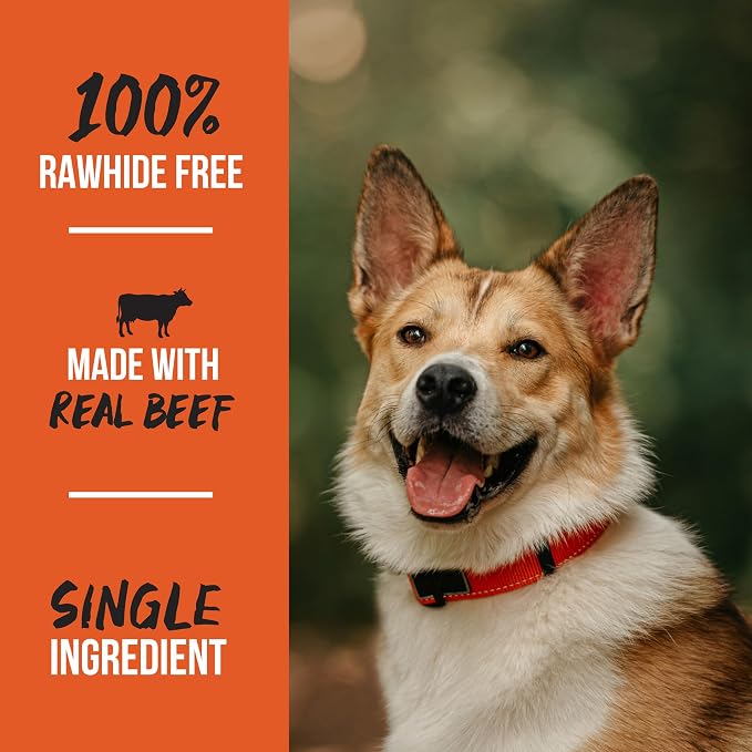 Grillerz 7 inch Small Shank Bone, Rawhide Free, All Natural Dog Treat for All Breeds, High Protein, Long Lasting, Easy to Digest, Dog Chew for Healthy Teeth (Pack of 2)